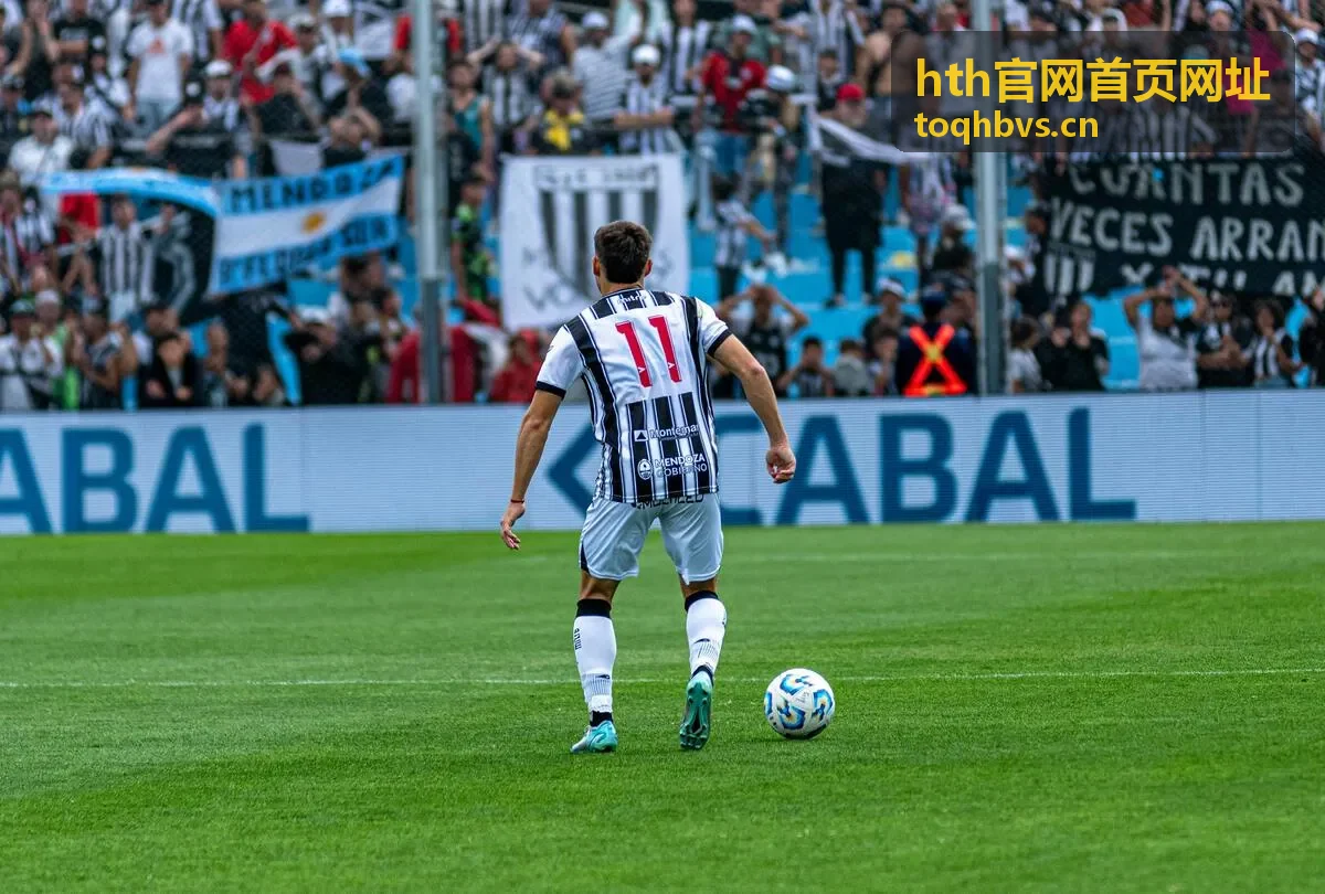 hth官网首页网址使用步骤之页面核对示意